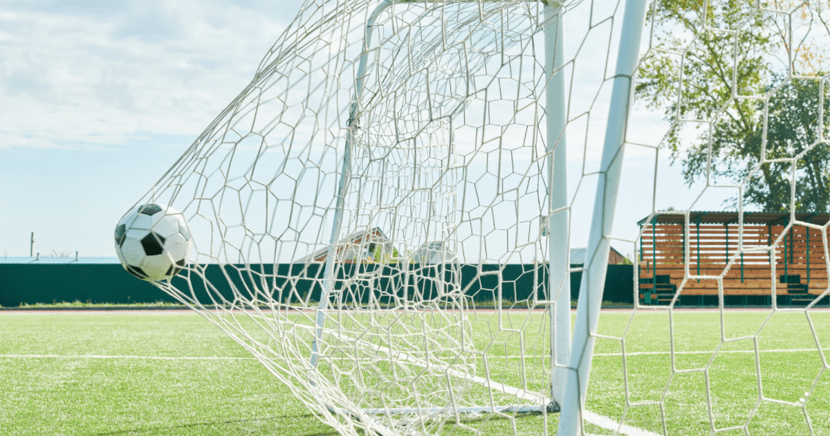 Goal post